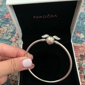 ✨NEW ✨Pandora Moments Harry Potter Bangle